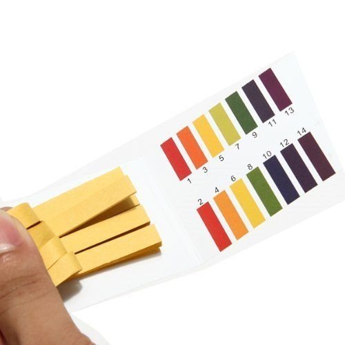 pH Strips